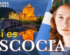 Explorando la Escocia Rural: Un Viaje Inolvidable