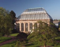 Explorando el Jardín Botánico Real de Edimburgo: Una Experiencia de Turismo y Viaje Única